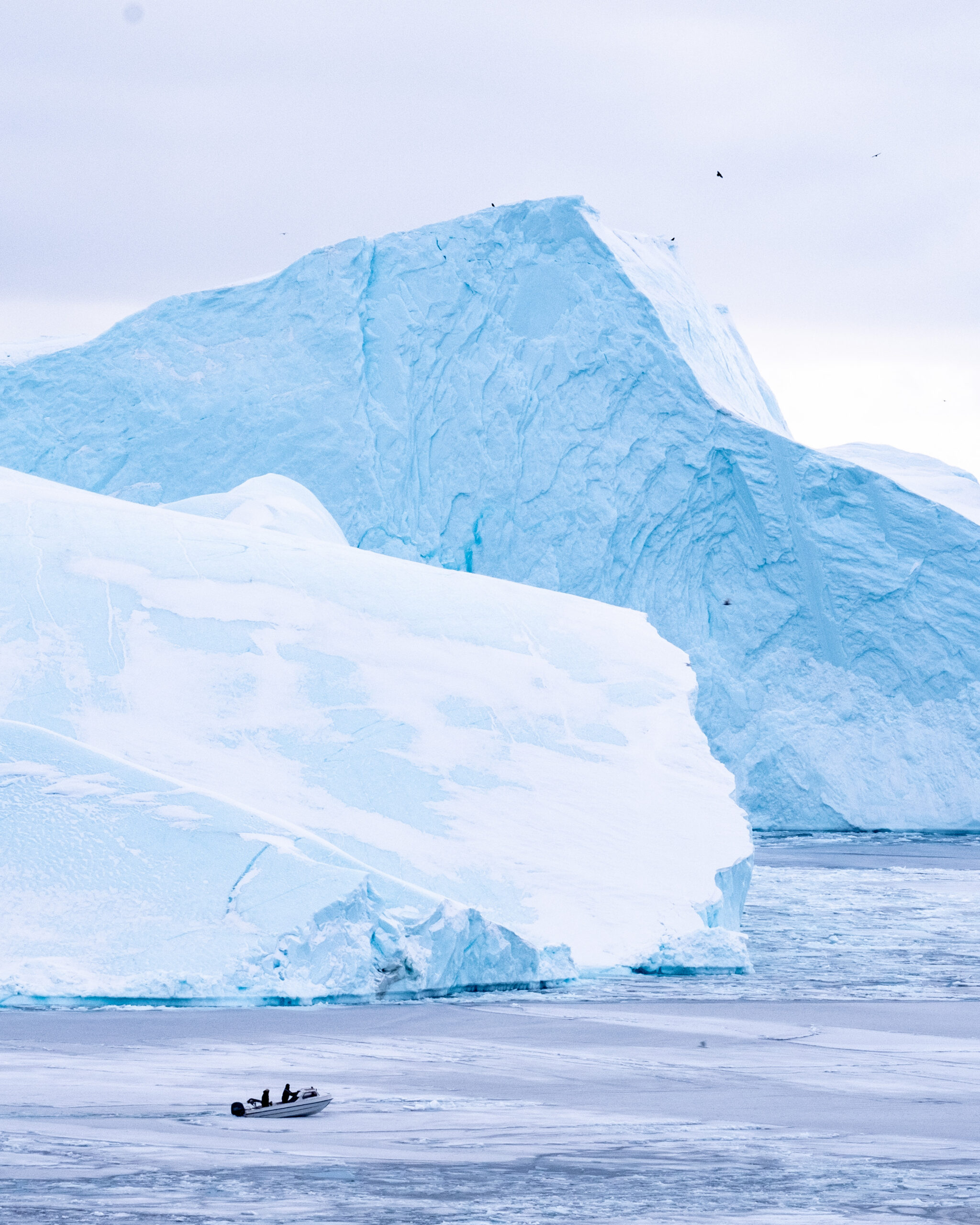 https://oceans5.mystaging.pro/wp-content/uploads/2026/07/OceanImageBank_LasseKyed_02-scaled.jpg